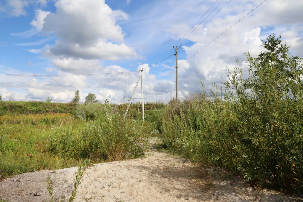 Продажа участка, Богандинское, Тюменский район, Тюменский р-н - Фото 13