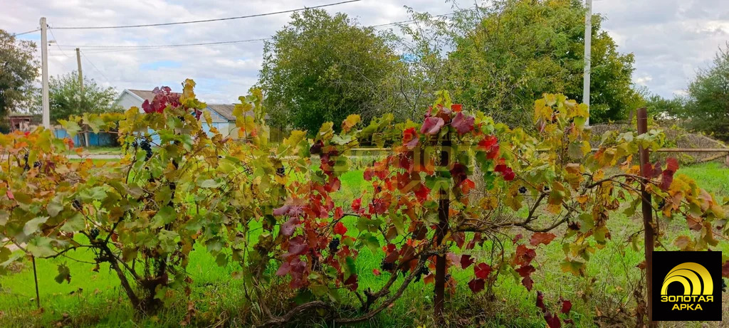 Продажа дома, Адагум, Крымский район - Фото 12