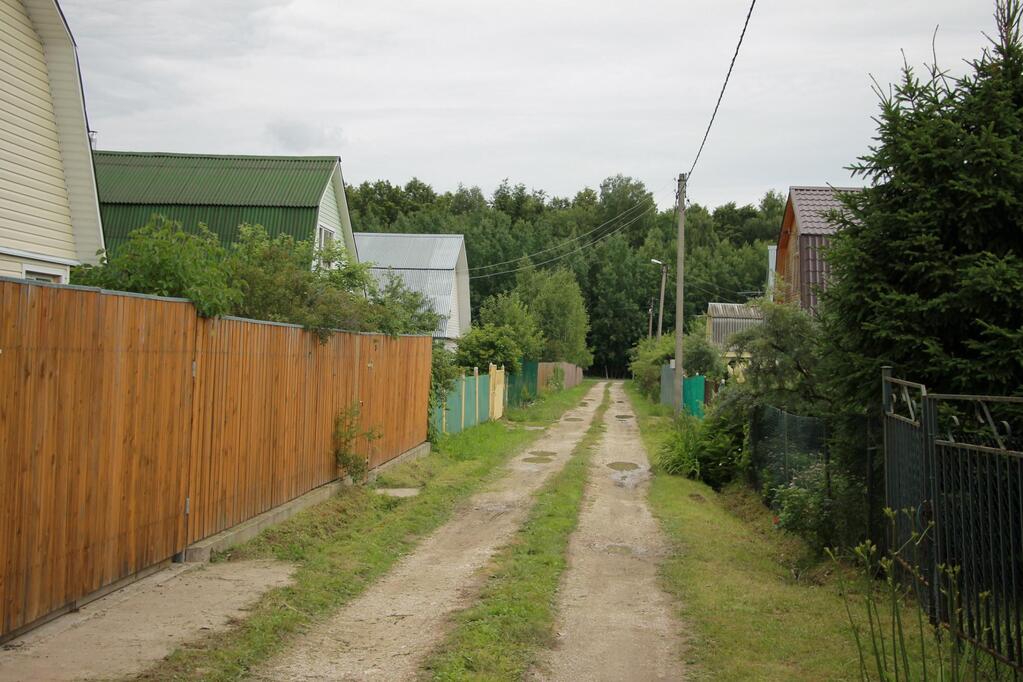 Снт лесное фото