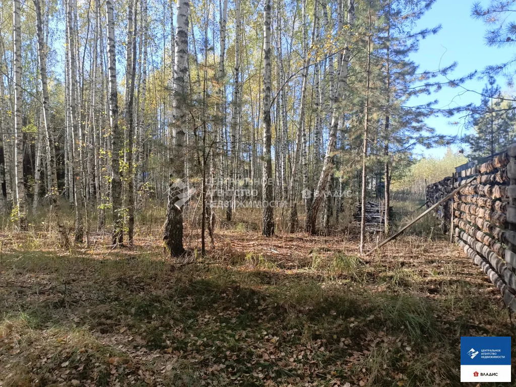 Продажа участка, Спасский район - Фото 9