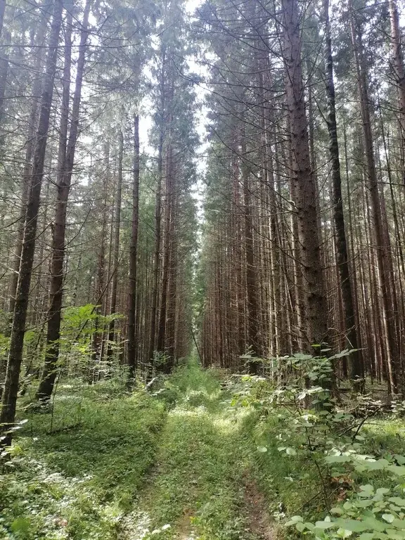 Сдам домик в деревне - Фото 6