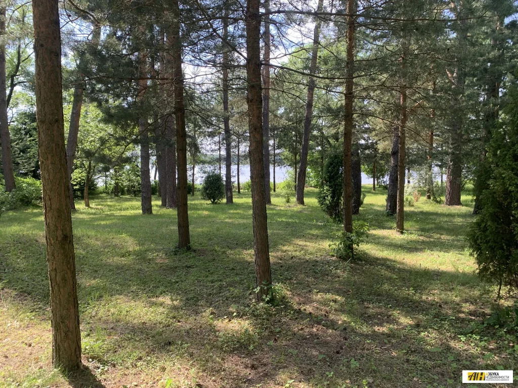 Продажа участка, Пятница, Солнечногорский район - Фото 6