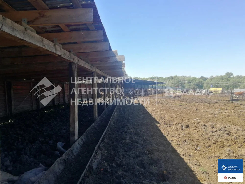 Продажа производственного помещения, Кукуй, Михайловский район - Фото 8