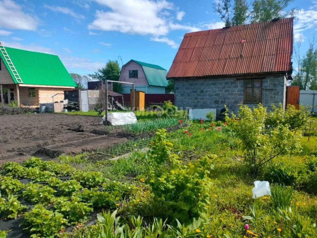 Продажа дома, Новосибирск, снт Буревестник - Фото 8