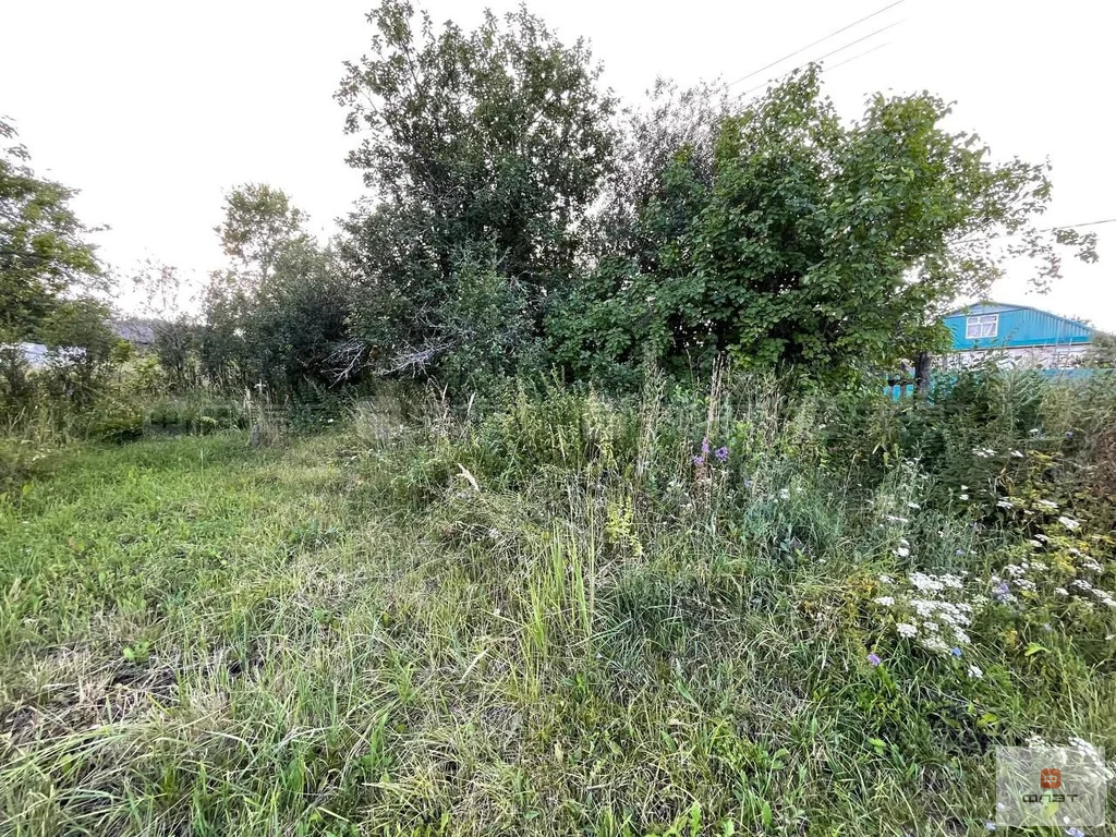 Продажа участка, Елизаветино, Верхнеуслонский район, ул. Овражная - Фото 6