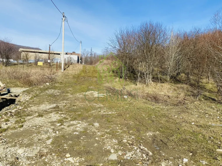 Продажа участка, Геленджик, ул. Персиковая - Фото 6