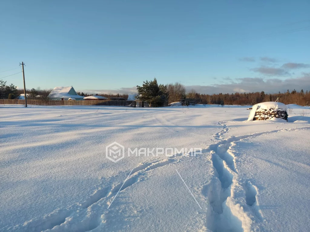 Погода в кути волховский. Деревня кути.
