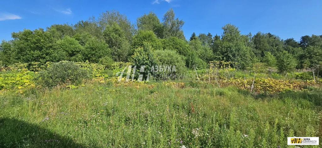 Продажа дома, Осташево, Волоколамский район - Фото 7