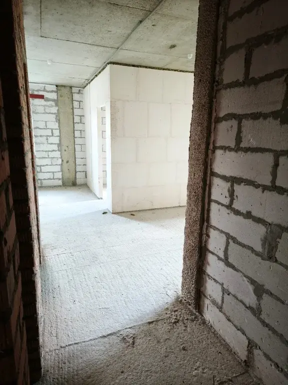 2-ка, г/о Пушкино, Красноармейск, ул. Новая Жизнь, 8к1 - Фото 9