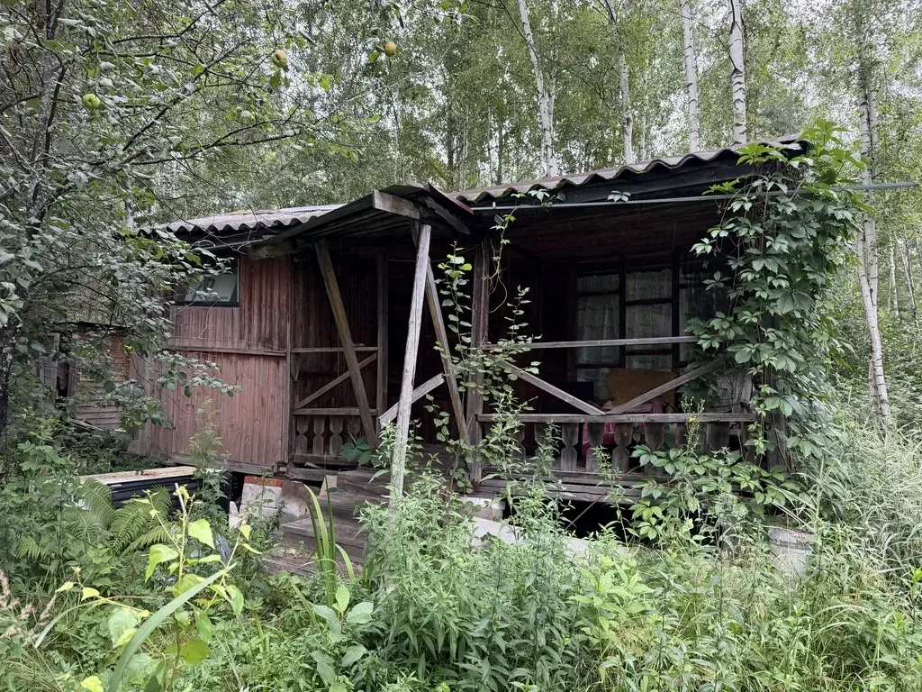 Дача в СНТ Ягодка - Фото 24