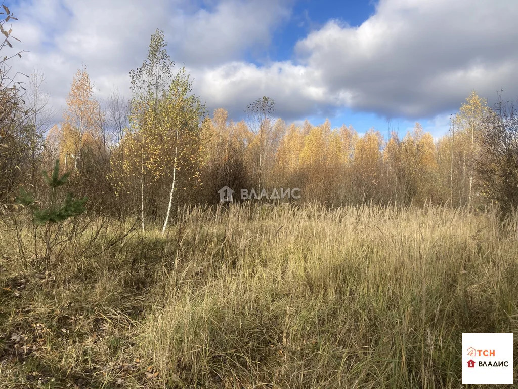 Продажа участка, Кабаново, Богородский г. о. - Фото 3