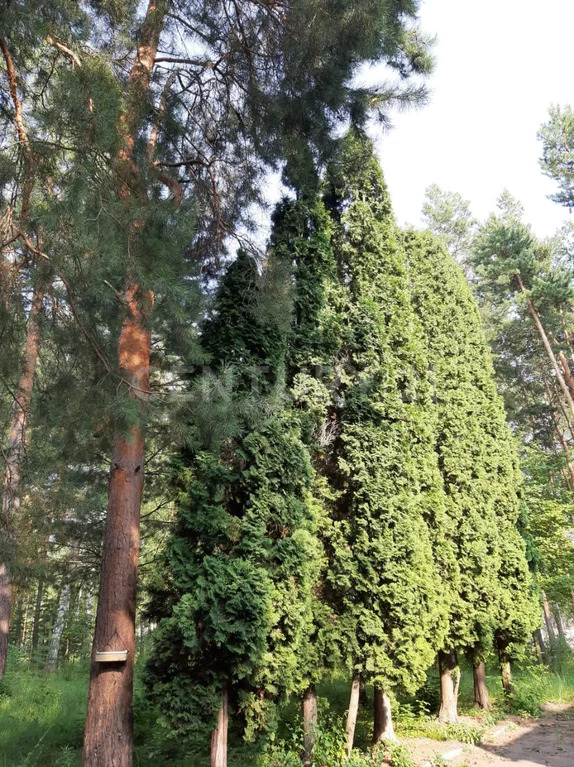 Продажа ПСН, Колодезское, Задонский район, ул. Солнечная - Фото 15