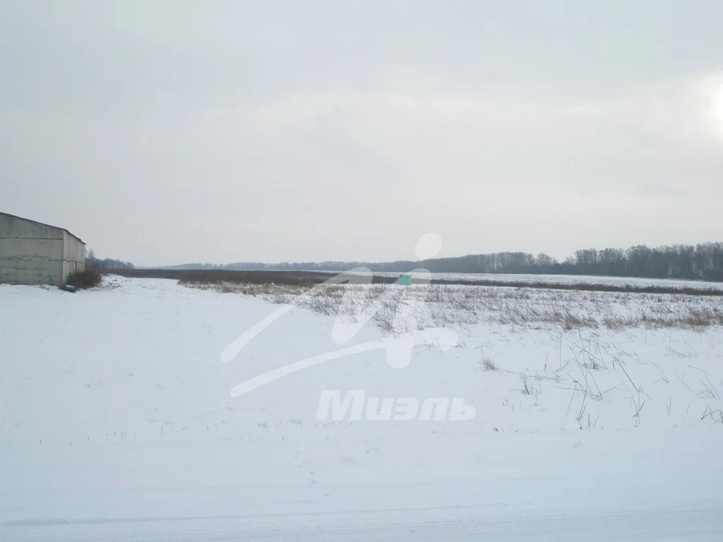 Продажа земельного участка, Кашира, Каширский район, ул. Центральная - Фото 4