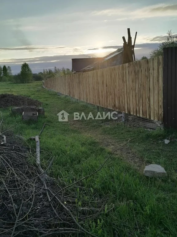 Гусь-Хрустальный район, деревня Ильино, Приозёрная улица,  дом на ... - Фото 8