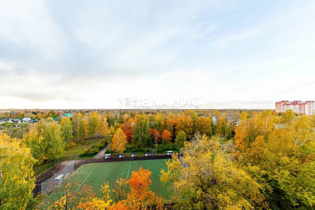Санкт-Петербург, Школьная улица, д.43, 3-комнатная квартира на продажу - Фото 12