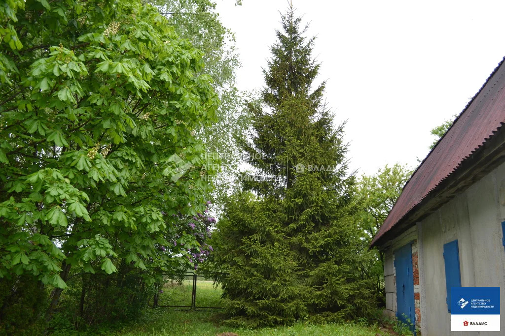 Продажа дома, Сорокино, Рязанский район - Фото 14