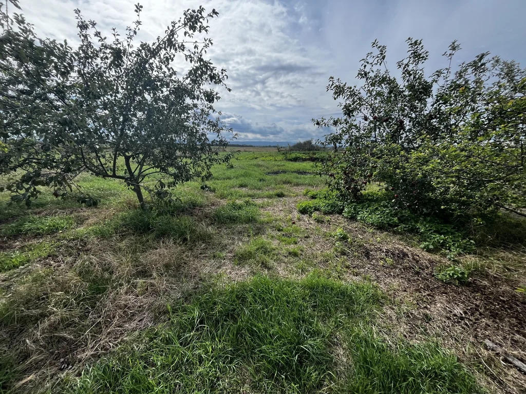 Продажа дома, Новопетровский, Северский район, ул. Энгельса - Фото 20