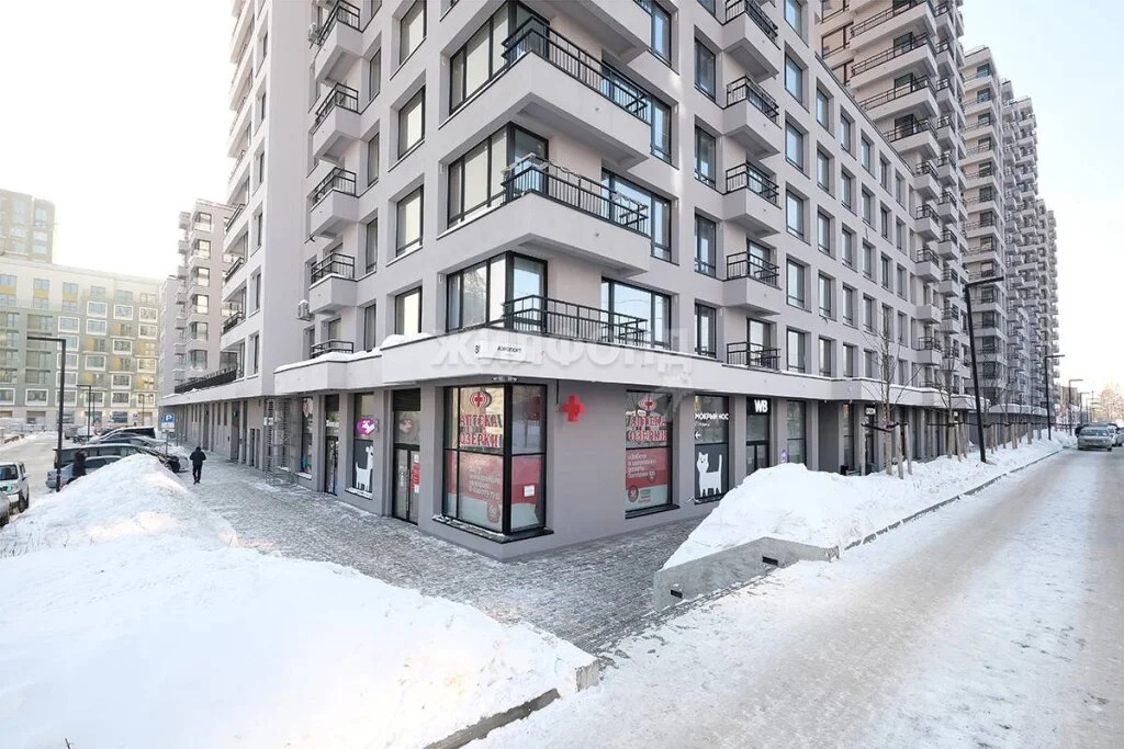 Продажа квартиры, Новосибирск, ул. Аэропорт - Фото 29