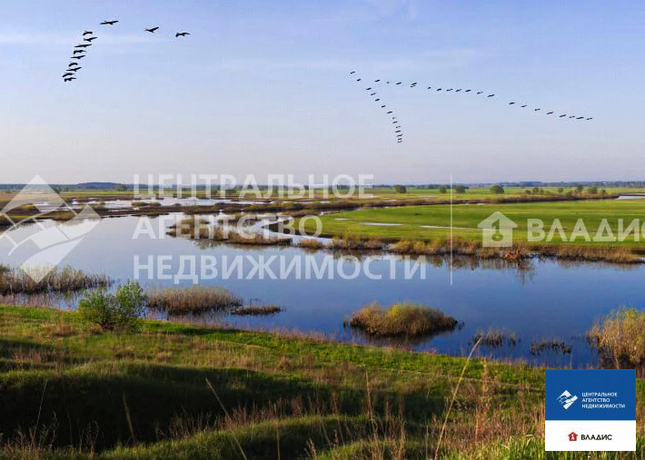Продажа дома, Большое Пирогово, Спасский район, Центральная улица - Фото 20