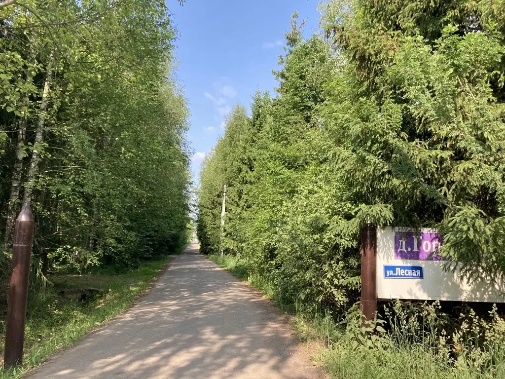 Продается участок с домом Городище, улица Лесная - Фото 29