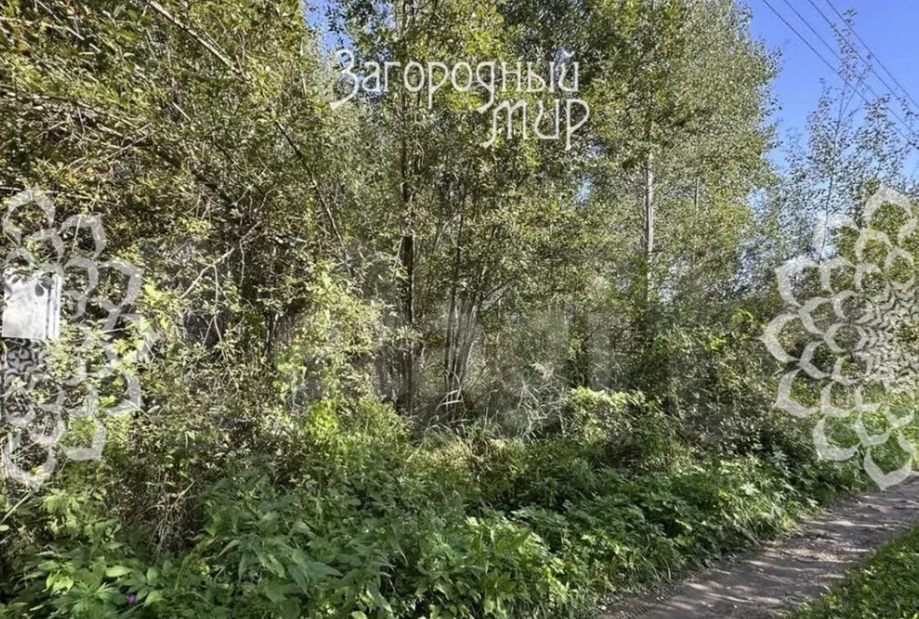 Продам участок, Ленинградское шоссе, 84 км от МКАД - Фото 1