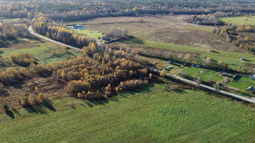 Продажа участка, Барышево, Выборгский район - Фото 18