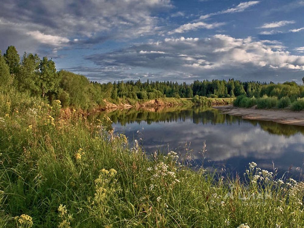 Ветлуга нижегородская область фото река