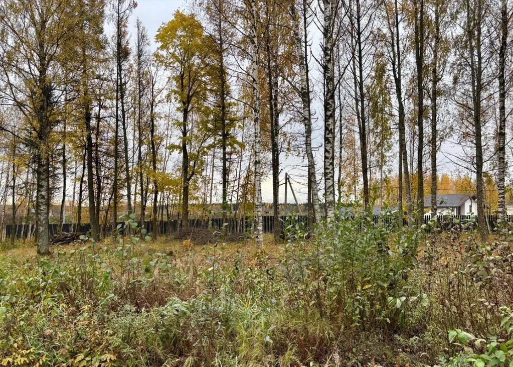 УЧАСТОК 6.9 Сот. с коммуникациями на первой линии трассы Скандинавия! - Фото 3