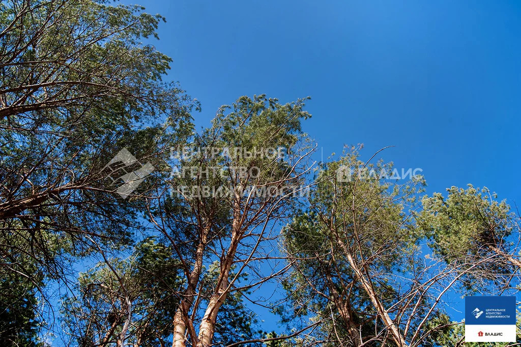 Продажа дома, Полково, Рязанский район, Изумрудная улица - Фото 17