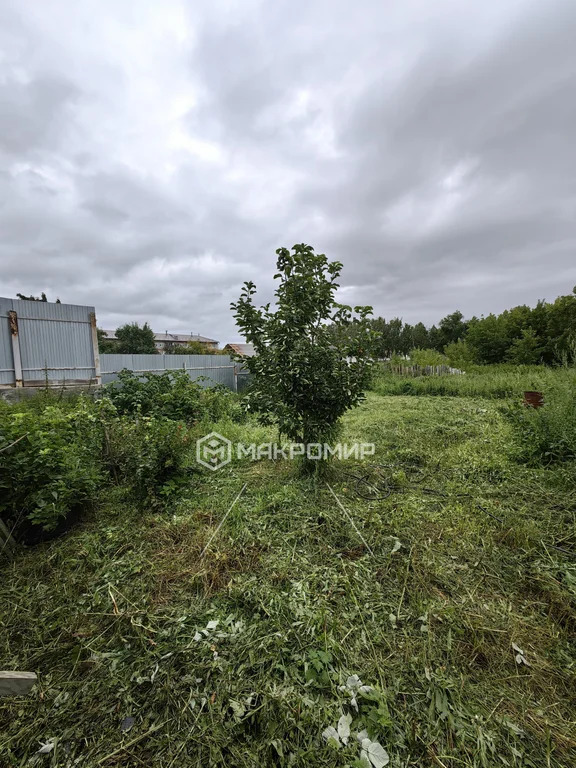 Продажа дома, Полевой, Сосновский район, ул. Центральная - Фото 21