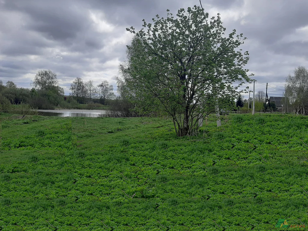 Продажа участка, Малая Брембола, Переславский район, ул. Центральная - Фото 2