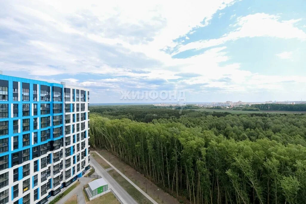 Продажа квартиры, Новосибирск, Александра Чистякова - Фото 23