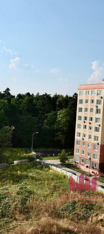 Продажа квартиры, Лопатино, Ленинский район, Сухановская улица - Фото 10