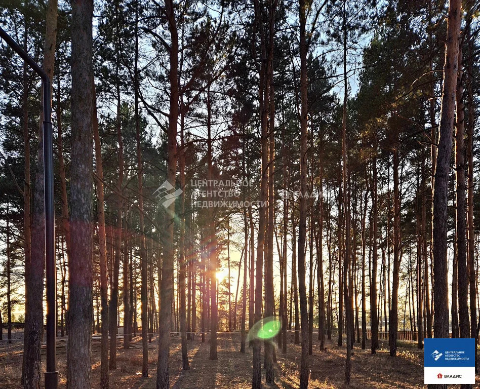 Продажа участка, Рязанский район - Фото 4