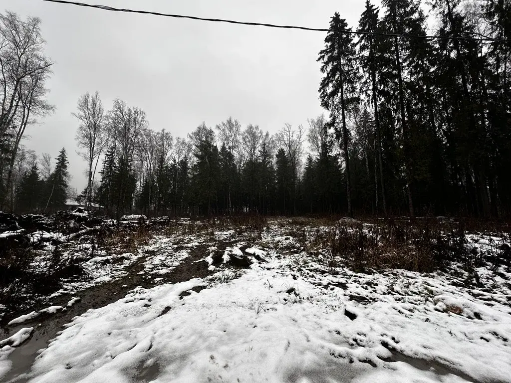 Земельный участок 15 соток в Московская обл., пос. Некрасовский - Фото 5