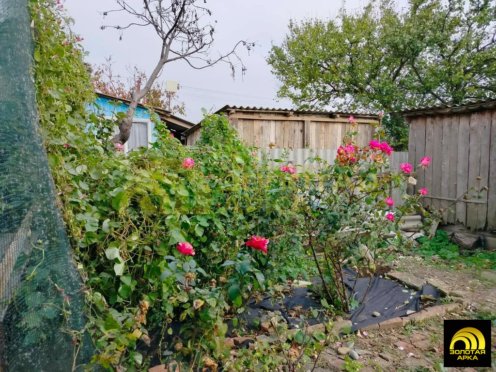 Продажа дома, Соленый, Центральная улица - Фото 16