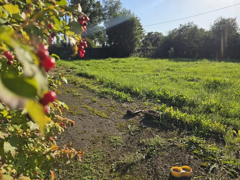 Продаю дом в д. Крутицы - Фото 24