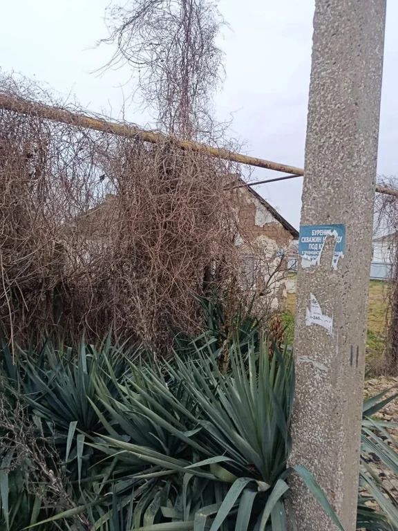 Продажа участка, Тамань, Темрюкский район, ул. Революции - Фото 2