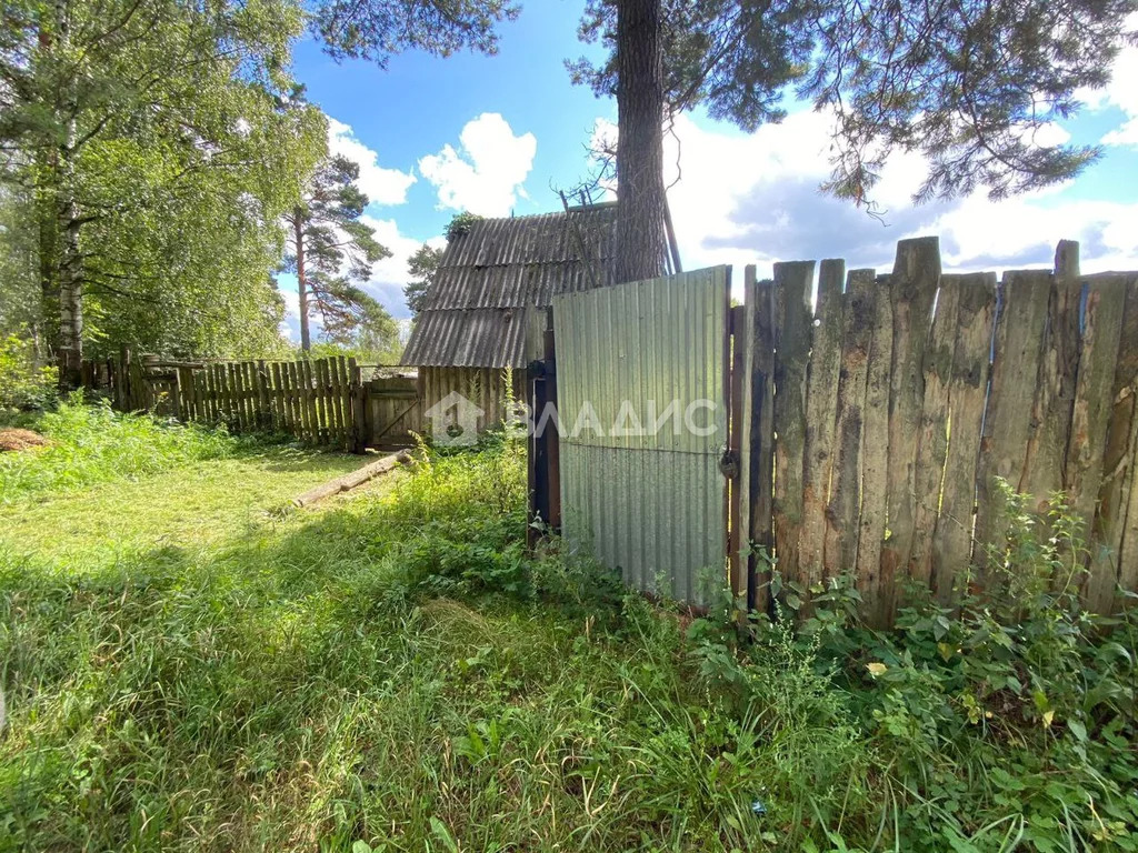 Гусь-Хрустальный район, деревня Вашутино, Школьная улица, д.3, . - Фото 12
