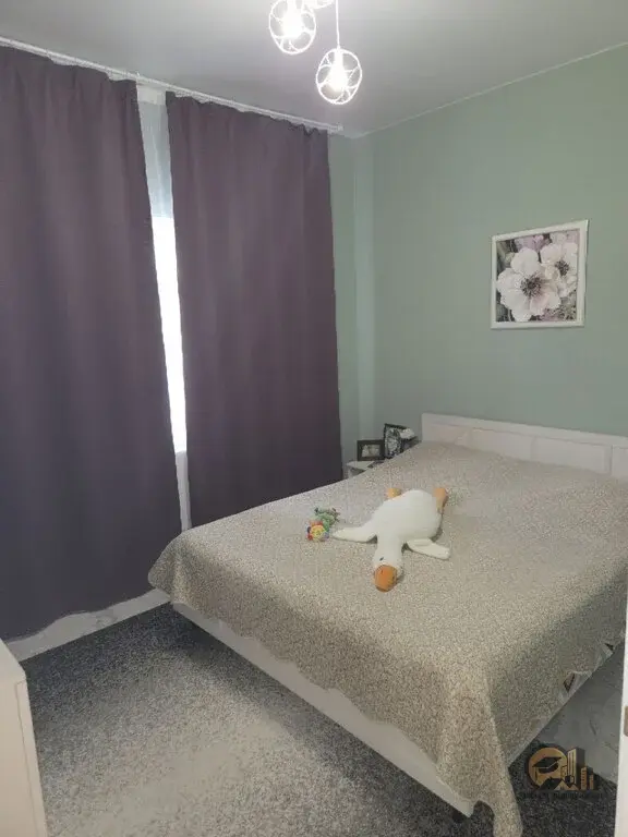Продам дом с Московской пропиской в дер. Батыбино - Фото 18