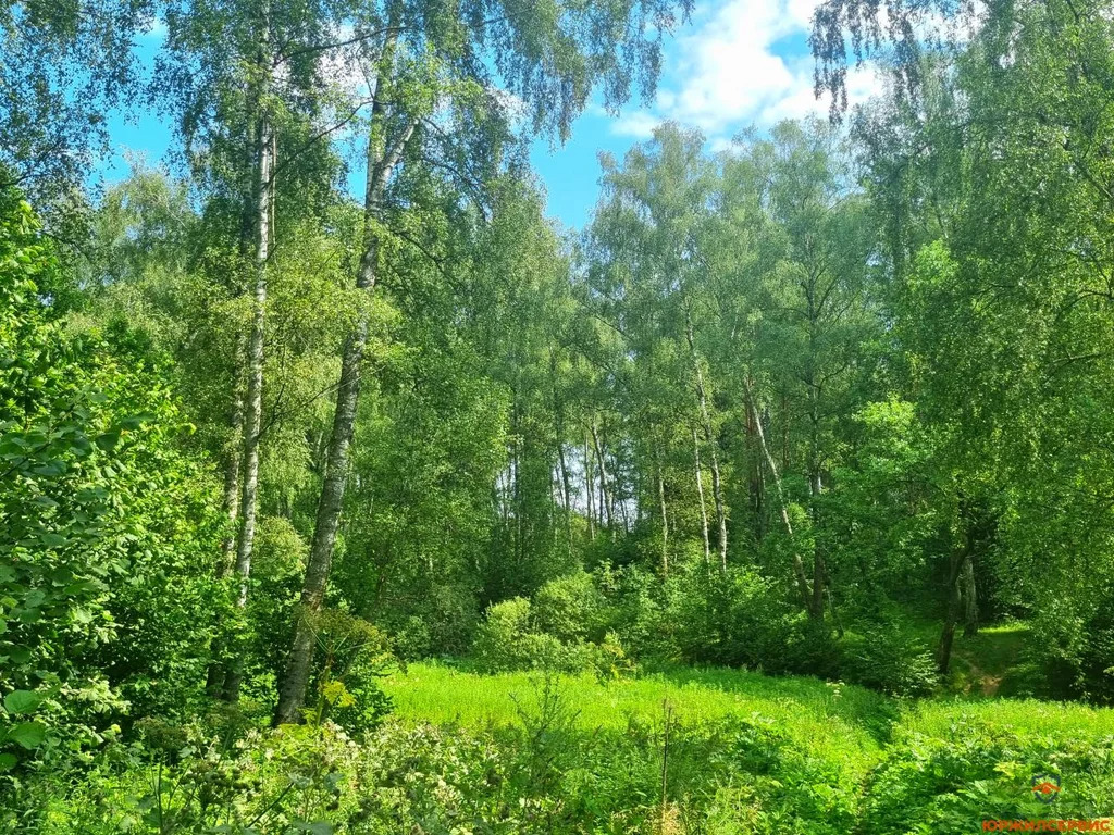 Продажа дома, Домодедово, Домодедово г. о., Московская обл - Фото 12