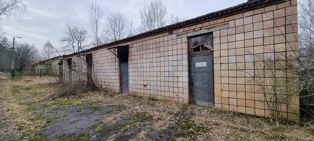 База отдыха "Лесные дали" - Фото 23