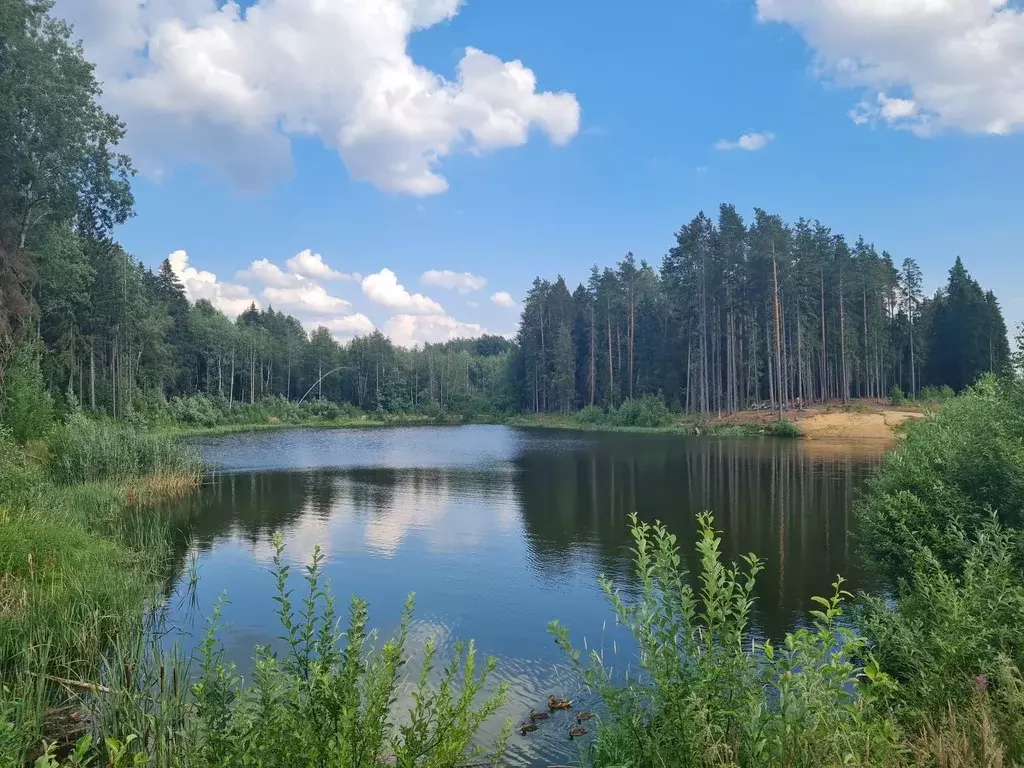 Продажа Таунхауса в Выборгском районе Первомайское 61,2 кв.м. - Фото 14