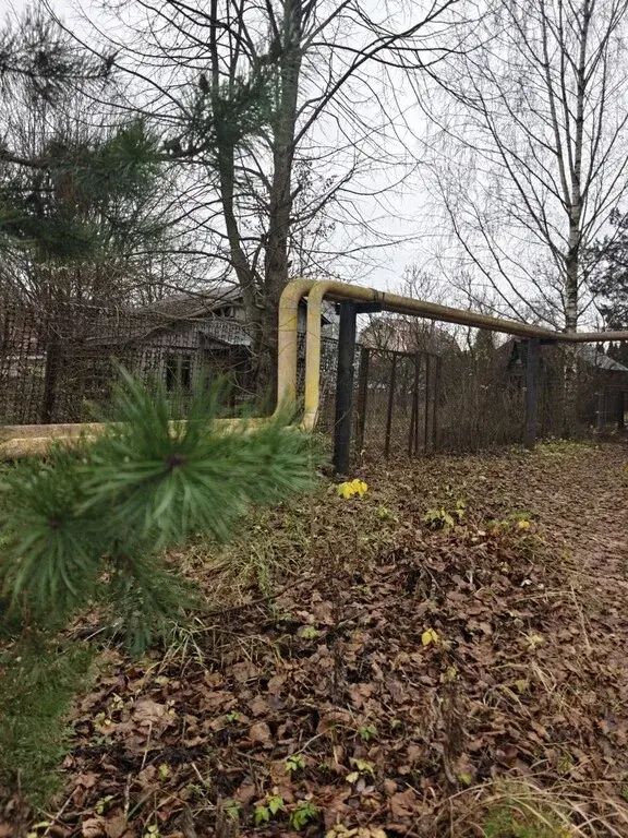 Участок 12 сот. (СНТ, ДНП) - Фото 8