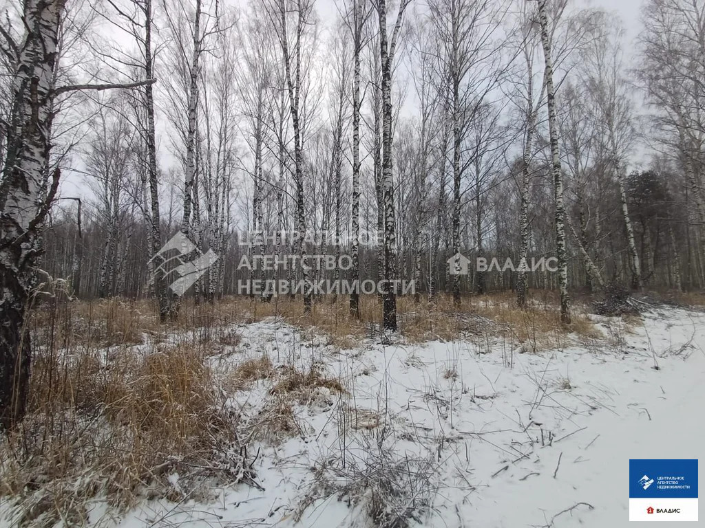 Продажа участка, Ушмор, Клепиковский район - Фото 2