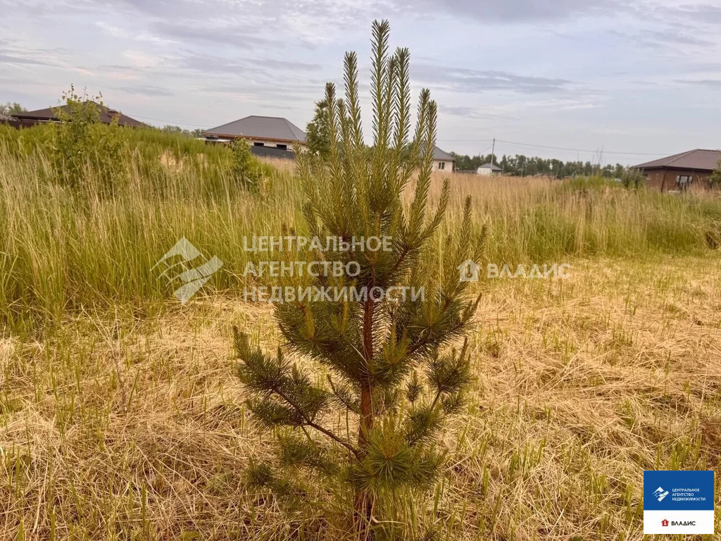 Продажа участка, Кораблино, Рязанский район, коттеджный посёлок ... - Фото 4