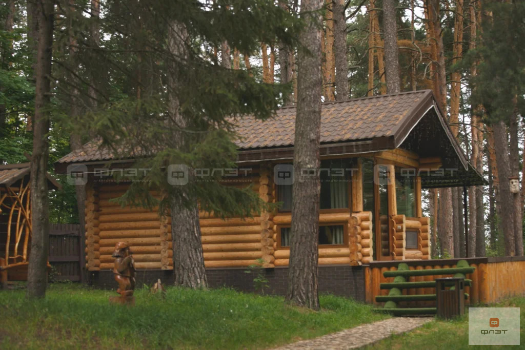Продажа готового бизнеса, Мари-Луговая, Звениговский район, ул. ... - Фото 5