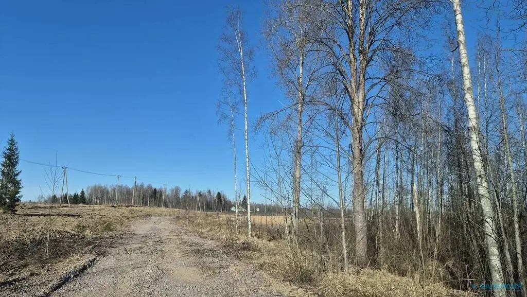 Продается ЗУ в собственности в ТСН "Вымпел" - Фото 4