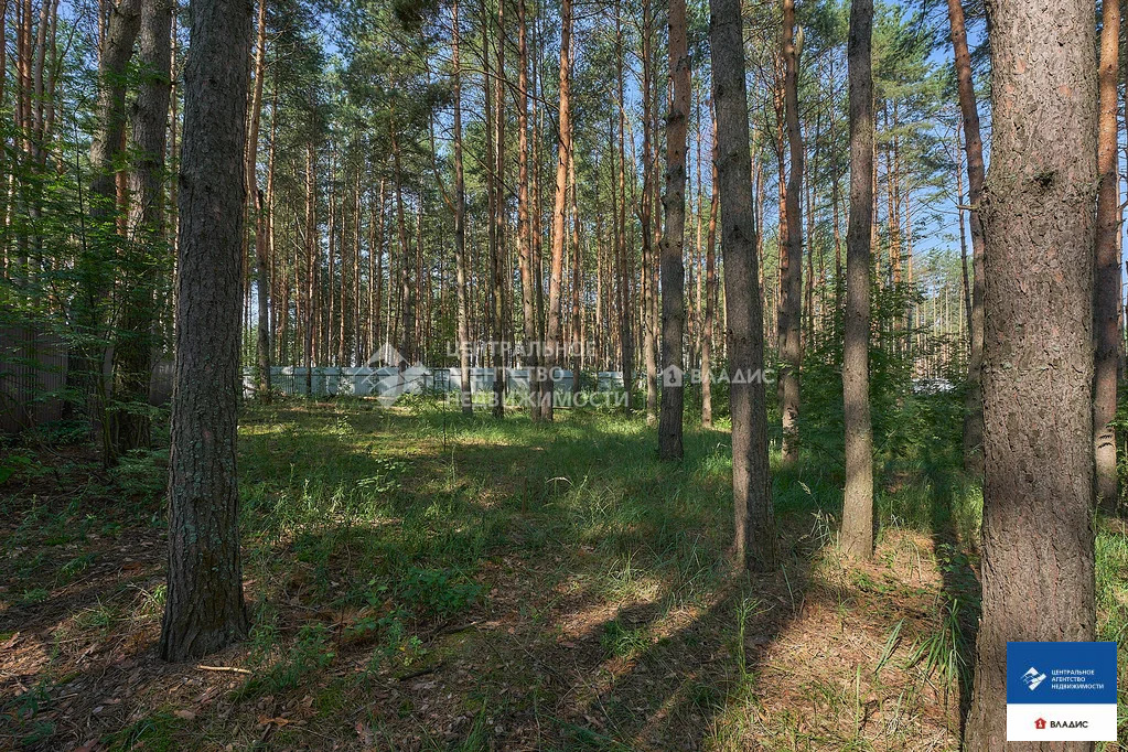 Продажа участка, Алеканово, Рязанский район - Фото 3