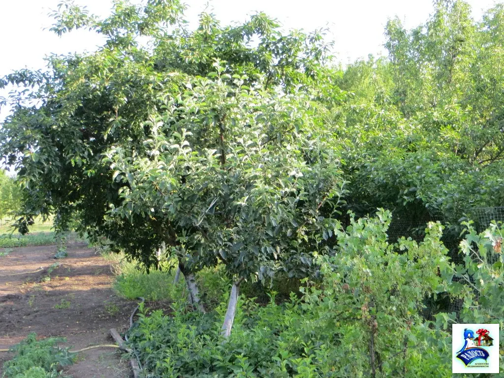 Продам готовый дом для проживания - к морю 8 км. - Фото 25
